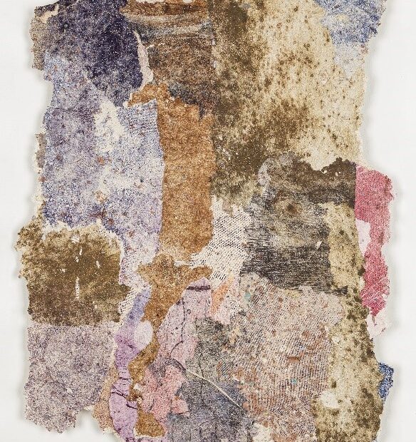 Chalcography on Handmade paper in Plexiglas box. Overall size 60x40 cm.2023.